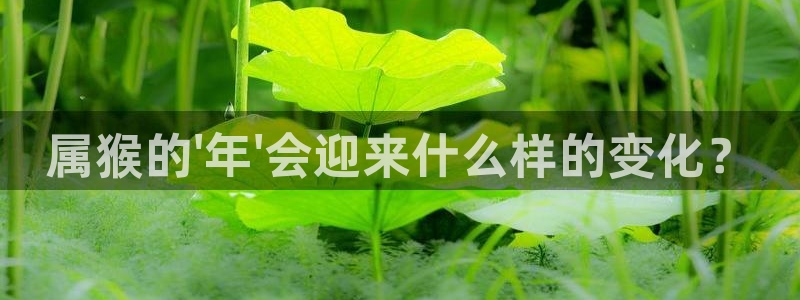 南宫NG平台登录