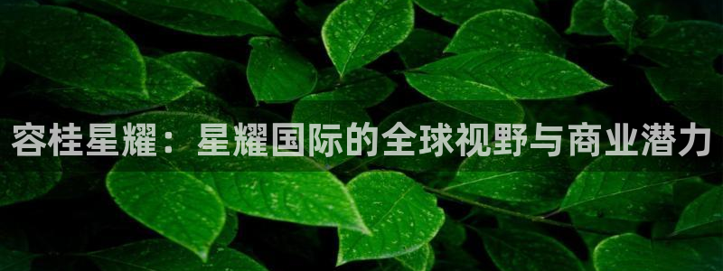 南宫NG科技赋能,让平台更有趣：容桂星耀：星耀国际的全球视野与商业潜力