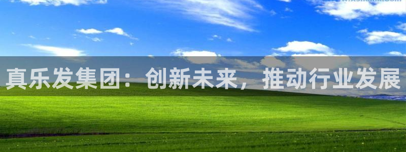 壹号电子娱乐app下载官网：真乐发集团：创新未来，推动行业发展