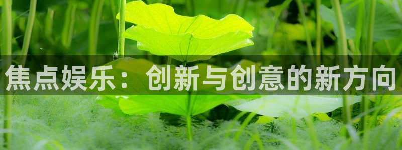南宫NGquan28.cc：焦点娱乐：创新与创意的新方向