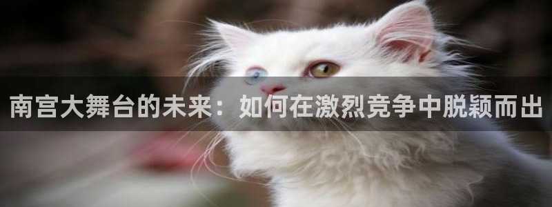 南宫NGapp官网下载苹果：南宫大舞台的未来：如何在激烈竞争中脱颖而出