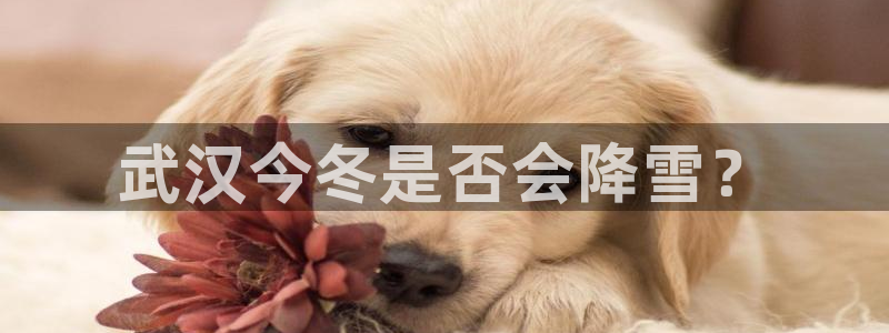 南宫NG网站：武汉今冬是否会降雪？