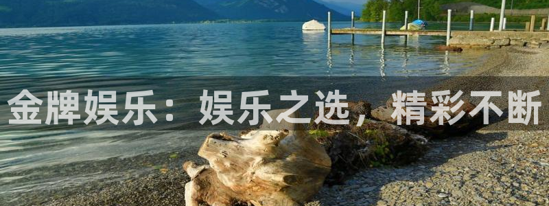南宫NG注册官网入口：金牌娱乐：娱乐之选，精彩不断