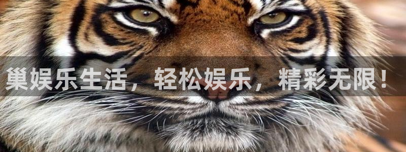 南宫NG平台管网入口：巢娱乐生活，轻松娱乐，精彩无限！