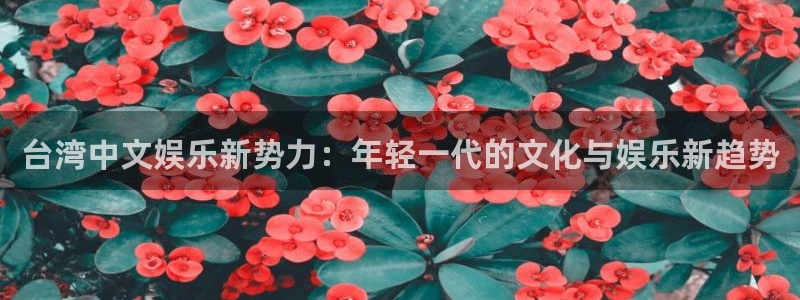 南宫NG苹果手机下载链接：台湾中文娱乐新势力：年轻一代的文化与娱乐新趋势