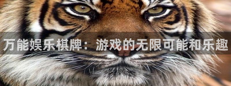 南宫NG是什么平台：万能娱乐棋牌：游戏的无限可能和乐趣