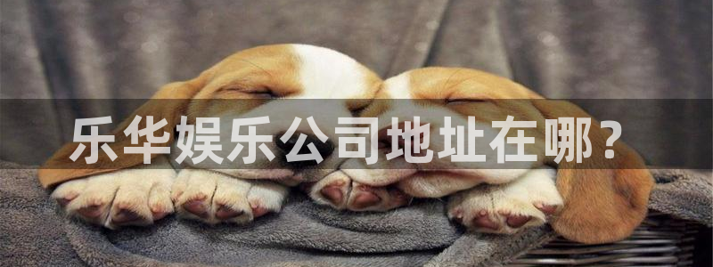 壹号注册入口app下载：乐华娱乐公司地址在哪？
