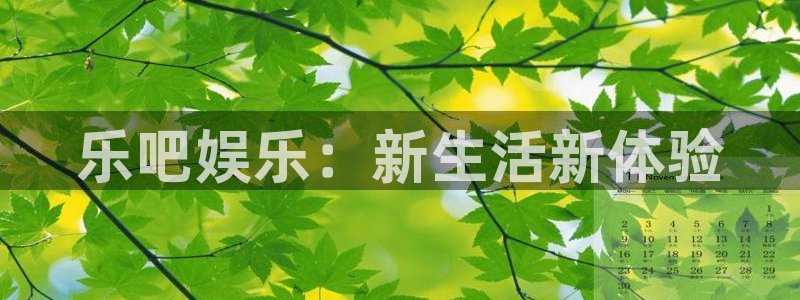 南宫NG平台官方入口下载：乐吧娱乐：新生活新体验