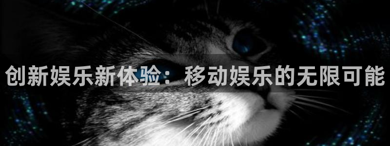 南宫NG麻将胡了：创新娱乐新体验：移动娱乐的无限可能