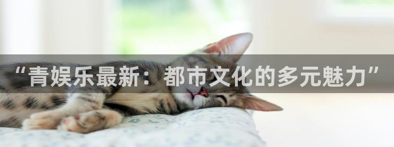 南宫NG网页版登：“青娱乐最新：都市文化的多元魅力”