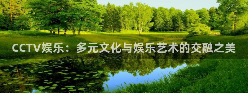 南宫NG(com.youad.authst)：CCTV娱乐：多元文化与娱乐艺术的交融之美