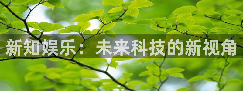 南宫NG游戏官网平台入口：新知娱乐：未来科技的新视角