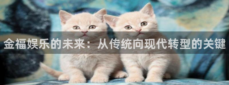 壹号官网app下载安装：金福娱乐的未来：从传统向现代转型的关键