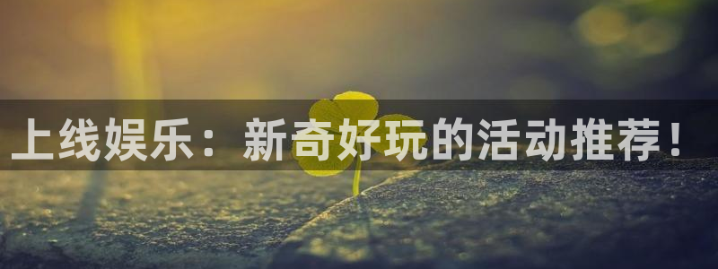 南宫NG网页版登：上线娱乐：新奇好玩的活动推荐！