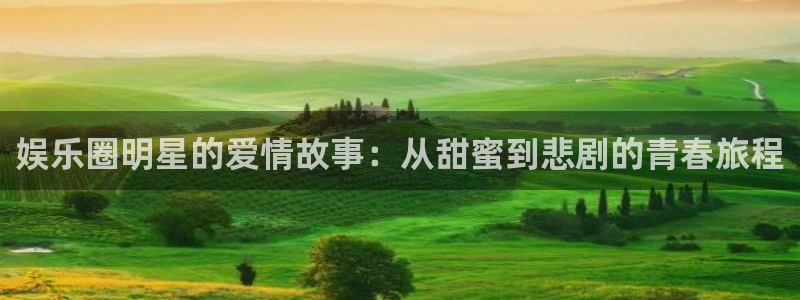 南宫NGapp网页入口：娱乐圈明星的爱情故事：从甜蜜到悲剧的青春旅程
