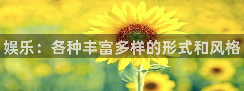 南宫NG是正规平台吗：娱乐：各种丰富多样的形式和风格