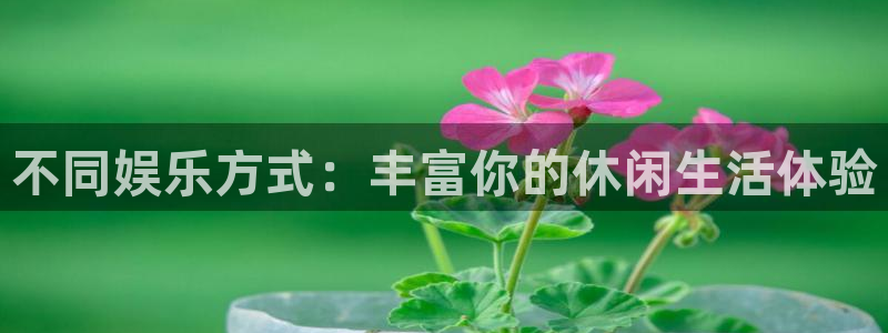 壹号大舞台怎么注册：不同娱乐方式：丰富你的休闲生活体验