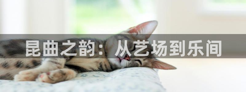 南宫NG.ccmpc29官网版下载：昆曲之韵：从艺场到乐间