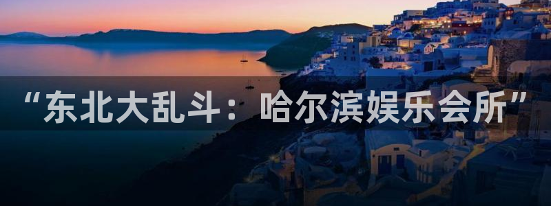 南宫NG网站登录流程：“东北大乱斗：哈尔滨娱乐会所”