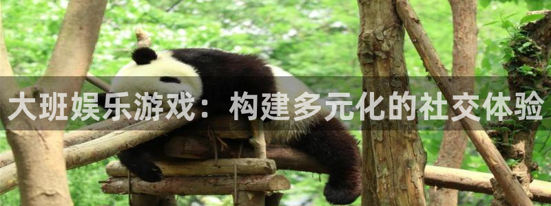 南宫NG注册