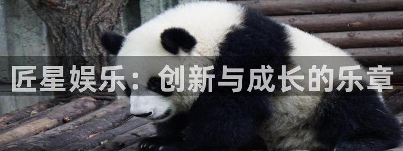南宫NGapp下载：匠星娱乐：创新与成长的乐章