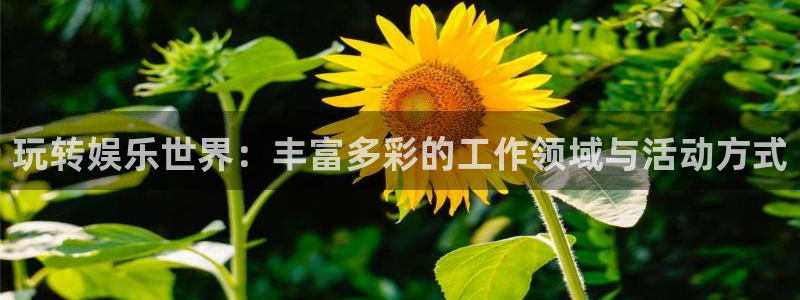 南宫NG平台注册：玩转娱乐世界：丰富多彩的工作领域与活动方式