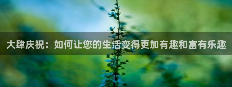南宫NG平台app下载：大肆庆祝：如何让您的生活变得更加有趣和富有乐趣