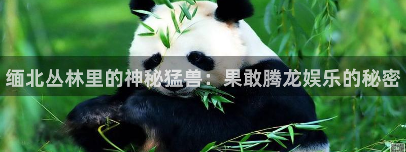 南宫NG麻将胡了：缅北丛林里的神秘猛兽：果敢腾龙娱乐的秘密