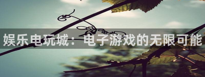南宫NG平台注册：娱乐电玩城：电子游戏的无限可能