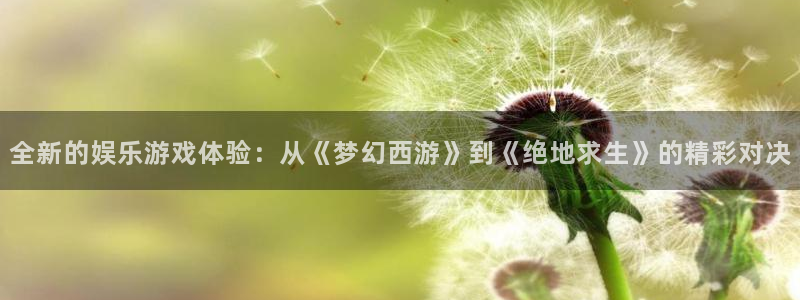 南宫NGapp新版上线体验.游戏更新入口.中国：全新的娱乐游戏体验：从《梦幻西游》到《绝地求生》的精彩对决