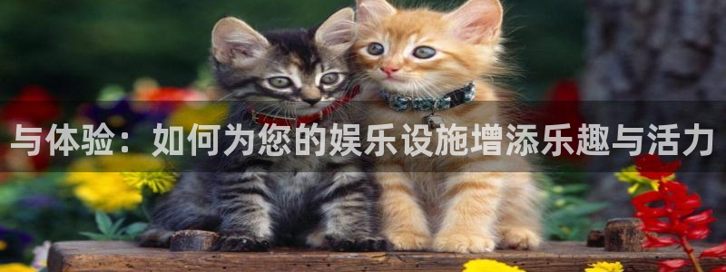 壹号大舞台官网：与体验：如何为您的娱乐设施增添乐趣与活力