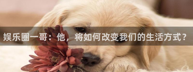 南宫NG.ccmpc正版：娱乐圈一哥：他，将如何改变我们的生活方式？