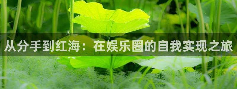 南宫NGapp哪个模式容易赢：从分手到红海：在娱乐圈的自我实现之旅