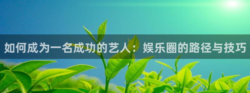 南宫NG游戏官网平台入口：如何成为一名成功的艺人：娱乐圈的路径与技巧